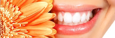 Banner 1